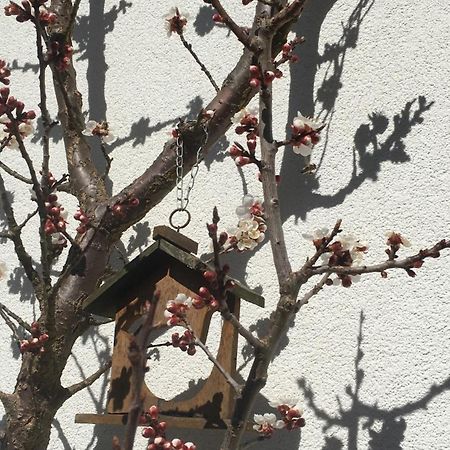 Appartement Emilia Hallstatt Exterior photo